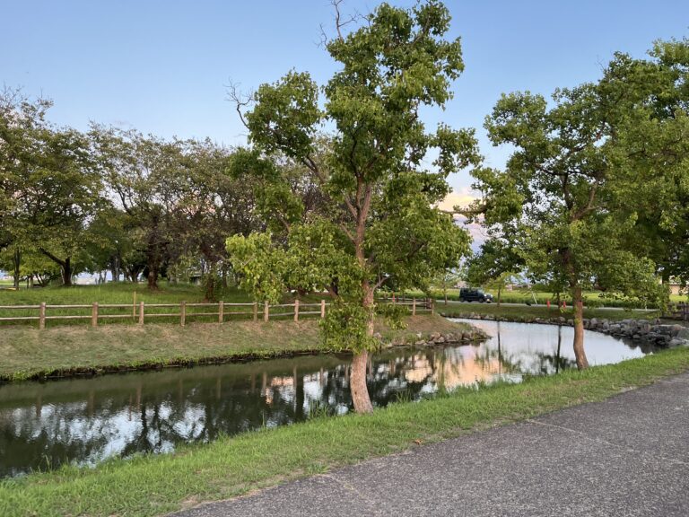 少しずつ秋の気配が感じられる